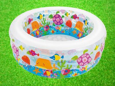 INTEX AQUARIUM POOL