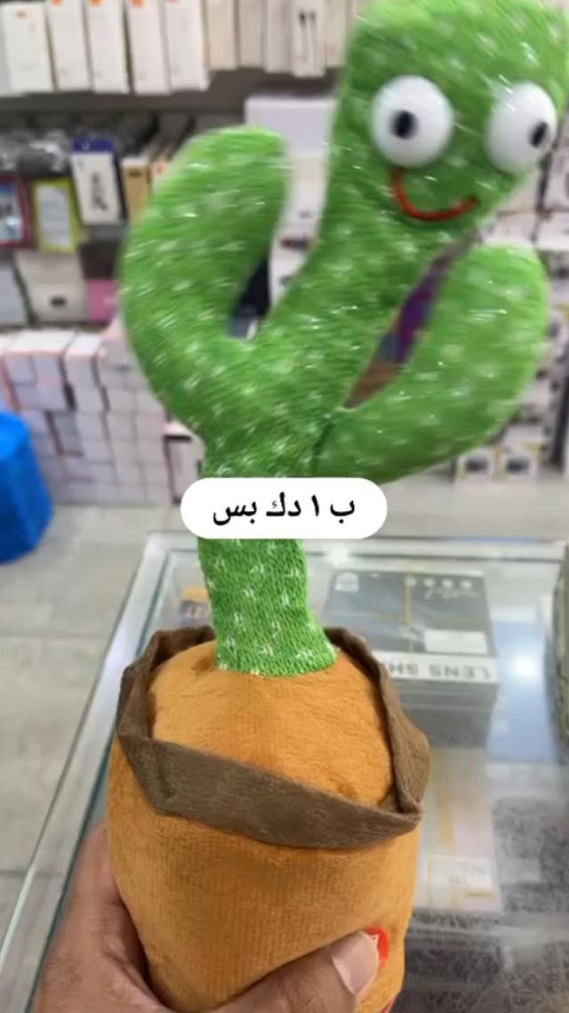 The Dancing Cactus toy plays different English songs