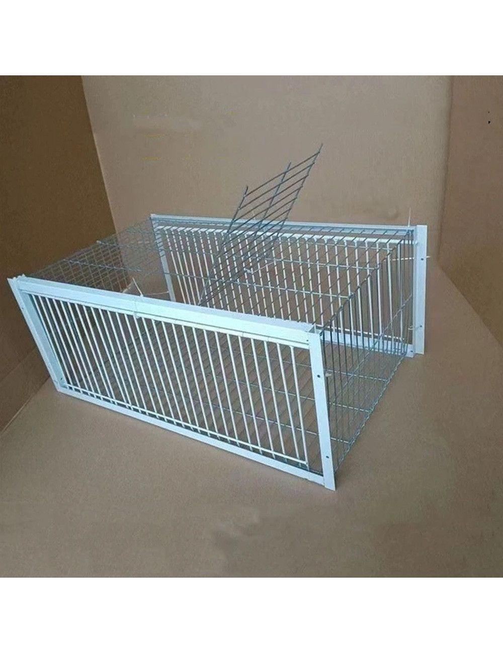 قفص مصيدة حمام LM‑17 مع بابين – 100 × 60 × 26 سم