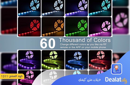 Smart Waterproof RGB Light Strip Kits with Remote - Color Changing Led Strip SMD5050 with 2 Outputs - DealatCity Store	