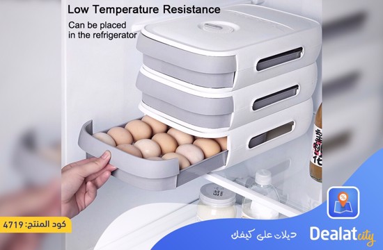 Large Capacity Refrigerator Egg Organizer Storage Box - dealatcity store
