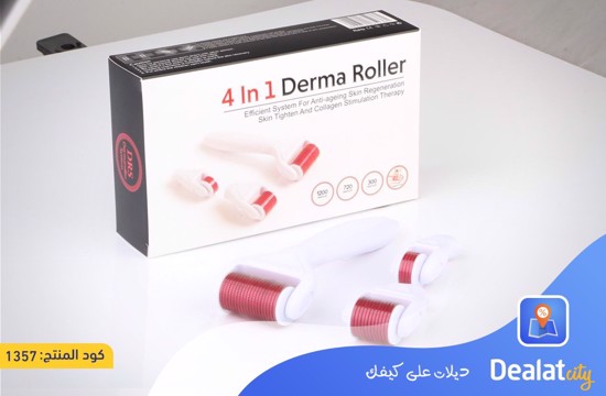 4 In 1 Derma Roller Set Stainless Micro Needles With Travel Case - DealatCity Store	